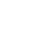 Overview Icon