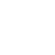 Overview Icon